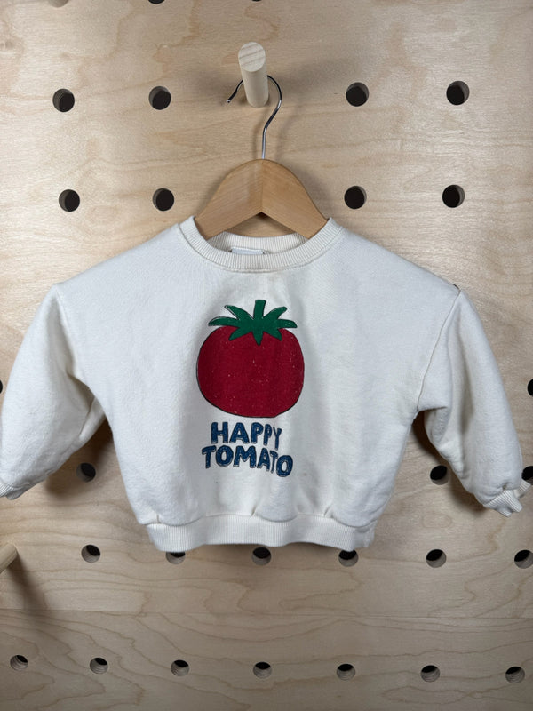 Child Size 2 zara Sweater