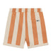 Shorts- Big Stripe