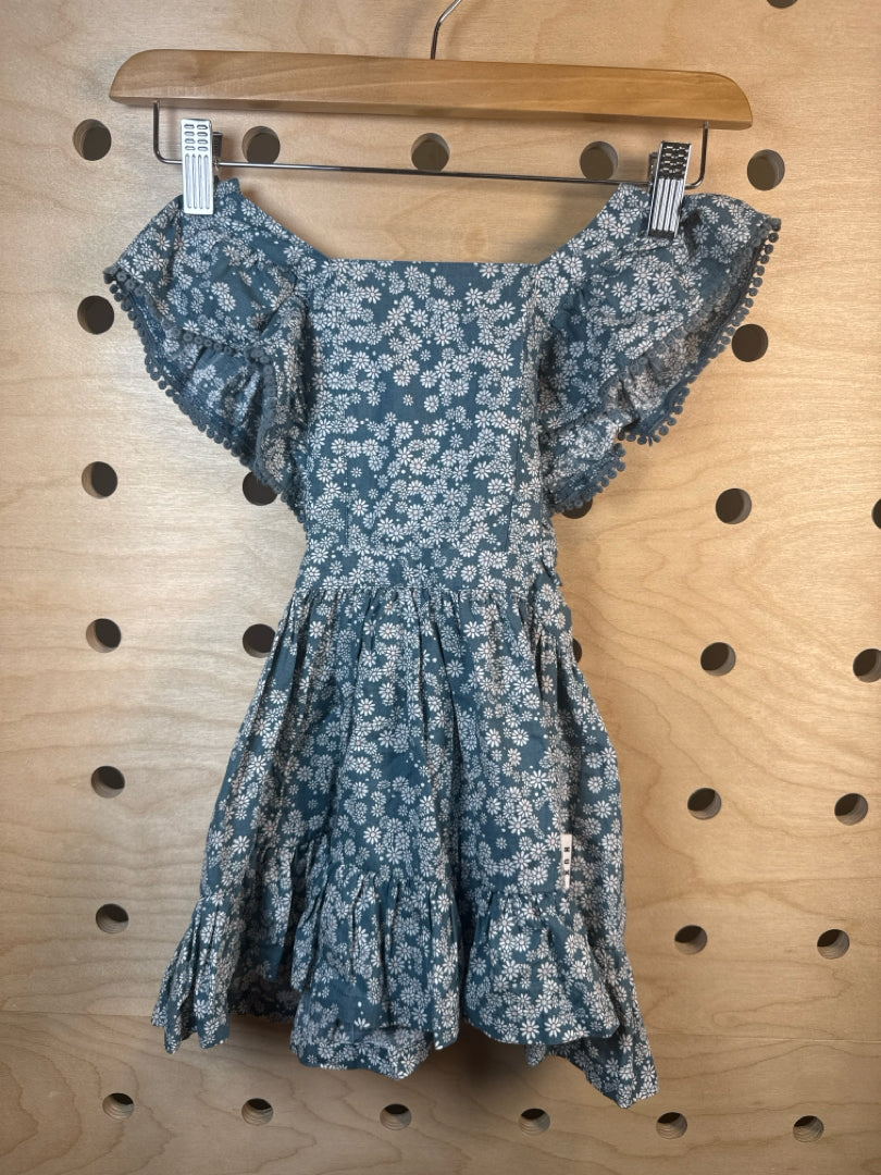 Child Size 2 hux Dress